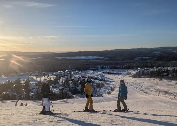 Hébergement de vacances Cozy Year-round With Sauna At Furutangen *