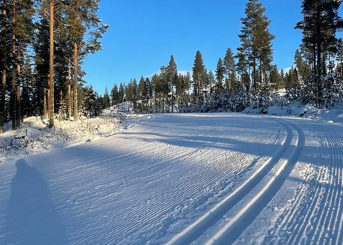 Cozy Year-round With Sauna At Furutangen